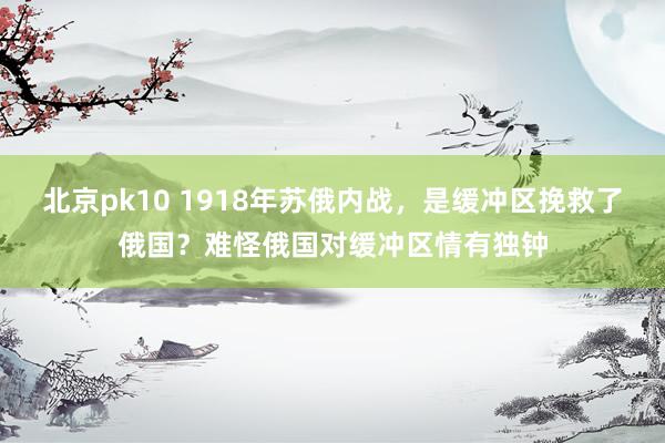 北京pk10 1918年苏俄内战，是缓冲区挽救了俄国？难怪俄国对缓冲区情有独钟