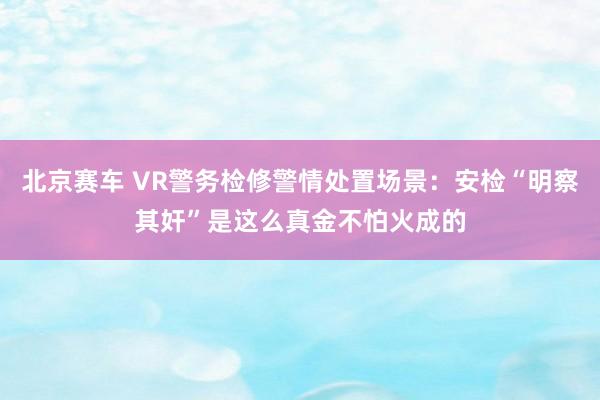 北京赛车 VR警务检修警情处置场景：安检“明察其奸”是这么真金不怕火成的