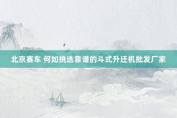 北京赛车 何如挑选靠谱的斗式升迁机批发厂家